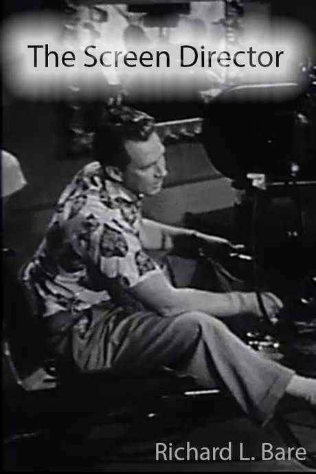 The Screen Director